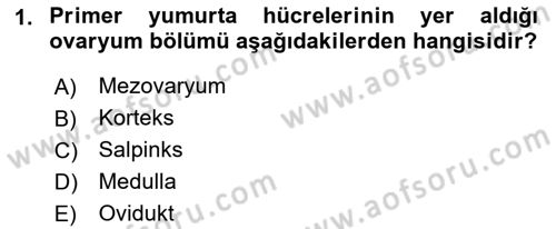 Doğum Bilgisi ve Suni Tohumlama Dersi 2021 - 2022 Yılı Yaz Okulu Sınav Soruları 1. Soru