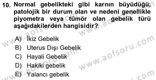 Doğum Bilgisi ve Suni Tohumlama Dersi 2021 - 2022 Yılı Yaz Okulu Sınav Soruları 10. Soru