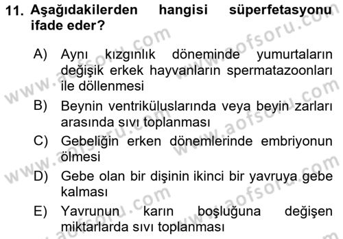 Doğum Bilgisi ve Suni Tohumlama Dersi 2021 - 2022 Yılı Yaz Okulu Sınav Soruları 11. Soru