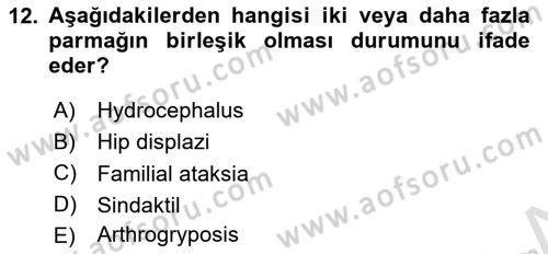 Doğum Bilgisi ve Suni Tohumlama Dersi 2021 - 2022 Yılı Yaz Okulu Sınav Soruları 12. Soru