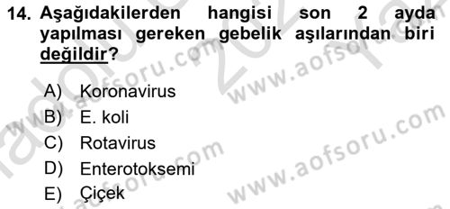 Doğum Bilgisi ve Suni Tohumlama Dersi 2021 - 2022 Yılı Yaz Okulu Sınav Soruları 14. Soru
