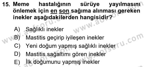 Doğum Bilgisi ve Suni Tohumlama Dersi 2021 - 2022 Yılı Yaz Okulu Sınav Soruları 15. Soru