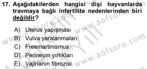 Doğum Bilgisi ve Suni Tohumlama Dersi 2021 - 2022 Yılı Yaz Okulu Sınav Soruları 17. Soru