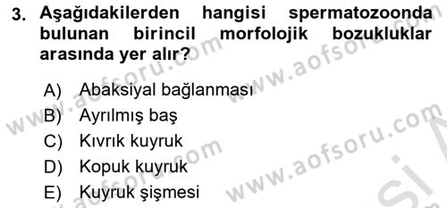 Doğum Bilgisi ve Suni Tohumlama Dersi 2021 - 2022 Yılı Yaz Okulu Sınav Soruları 3. Soru