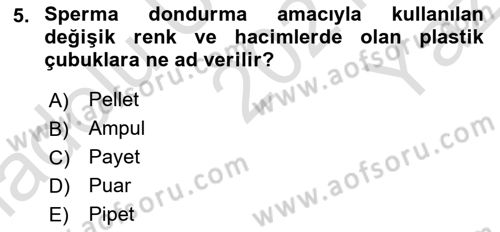 Doğum Bilgisi ve Suni Tohumlama Dersi 2021 - 2022 Yılı Yaz Okulu Sınav Soruları 5. Soru