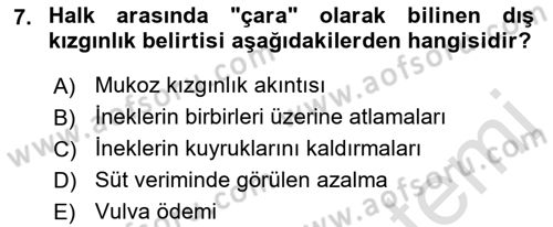 Doğum Bilgisi ve Suni Tohumlama Dersi 2021 - 2022 Yılı Yaz Okulu Sınav Soruları 7. Soru