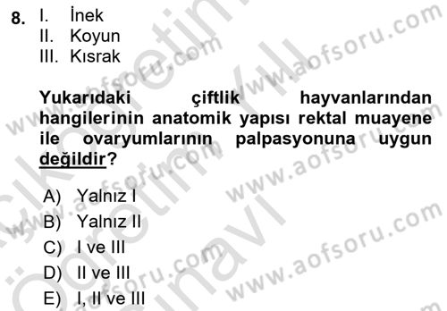 Doğum Bilgisi ve Suni Tohumlama Dersi 2021 - 2022 Yılı Yaz Okulu Sınav Soruları 8. Soru