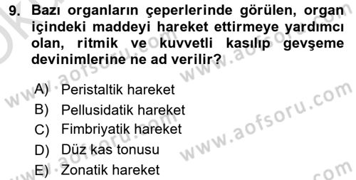 Doğum Bilgisi ve Suni Tohumlama Dersi 2021 - 2022 Yılı Yaz Okulu Sınav Soruları 9. Soru