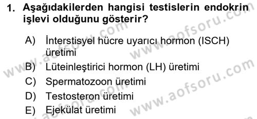 Doğum Bilgisi ve Suni Tohumlama Dersi 2022 - 2023 Yılı Yaz Okulu Sınav Soruları 1. Soru