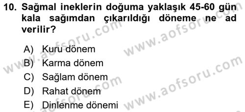 Doğum Bilgisi ve Suni Tohumlama Dersi 2022 - 2023 Yılı Yaz Okulu Sınav Soruları 10. Soru