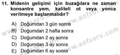 Doğum Bilgisi ve Suni Tohumlama Dersi 2022 - 2023 Yılı Yaz Okulu Sınav Soruları 11. Soru