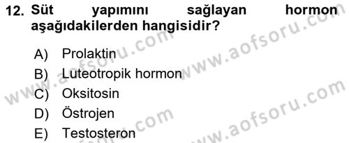 Doğum Bilgisi ve Suni Tohumlama Dersi 2022 - 2023 Yılı Yaz Okulu Sınav Soruları 12. Soru