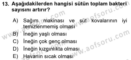 Doğum Bilgisi ve Suni Tohumlama Dersi 2022 - 2023 Yılı Yaz Okulu Sınav Soruları 13. Soru