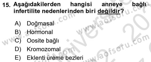 Doğum Bilgisi ve Suni Tohumlama Dersi 2022 - 2023 Yılı Yaz Okulu Sınav Soruları 15. Soru