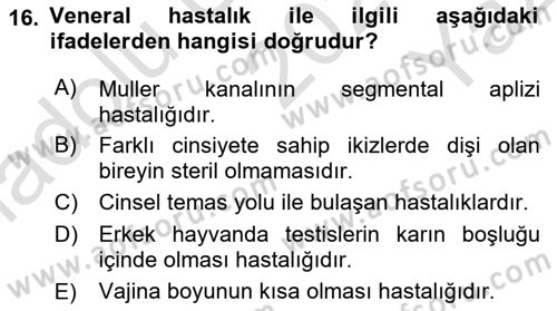 Doğum Bilgisi ve Suni Tohumlama Dersi 2022 - 2023 Yılı Yaz Okulu Sınav Soruları 16. Soru