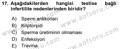 Doğum Bilgisi ve Suni Tohumlama Dersi 2022 - 2023 Yılı Yaz Okulu Sınav Soruları 17. Soru