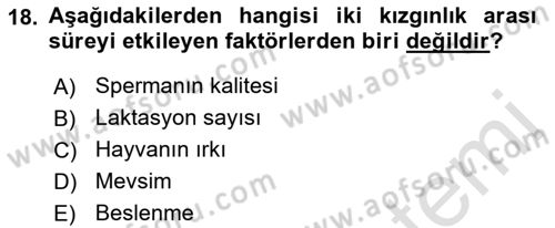 Doğum Bilgisi ve Suni Tohumlama Dersi 2022 - 2023 Yılı Yaz Okulu Sınav Soruları 18. Soru