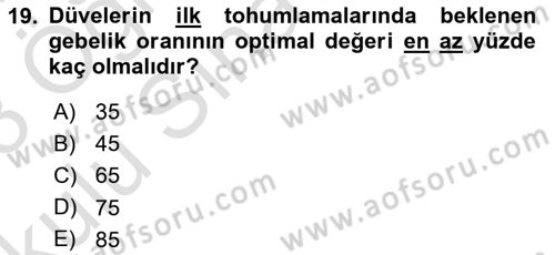 Doğum Bilgisi ve Suni Tohumlama Dersi 2022 - 2023 Yılı Yaz Okulu Sınav Soruları 19. Soru