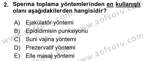 Doğum Bilgisi ve Suni Tohumlama Dersi 2022 - 2023 Yılı Yaz Okulu Sınav Soruları 2. Soru