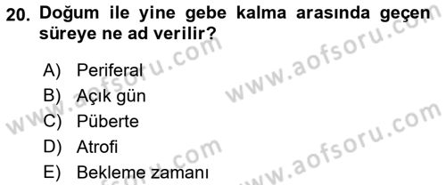Doğum Bilgisi ve Suni Tohumlama Dersi 2022 - 2023 Yılı Yaz Okulu Sınav Soruları 20. Soru
