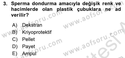 Doğum Bilgisi ve Suni Tohumlama Dersi 2022 - 2023 Yılı Yaz Okulu Sınav Soruları 3. Soru