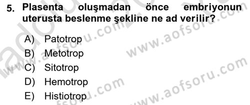 Doğum Bilgisi ve Suni Tohumlama Dersi 2022 - 2023 Yılı Yaz Okulu Sınav Soruları 5. Soru