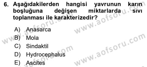 Doğum Bilgisi ve Suni Tohumlama Dersi 2022 - 2023 Yılı Yaz Okulu Sınav Soruları 6. Soru