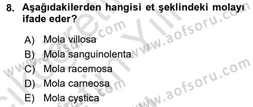 Doğum Bilgisi ve Suni Tohumlama Dersi 2022 - 2023 Yılı Yaz Okulu Sınav Soruları 8. Soru