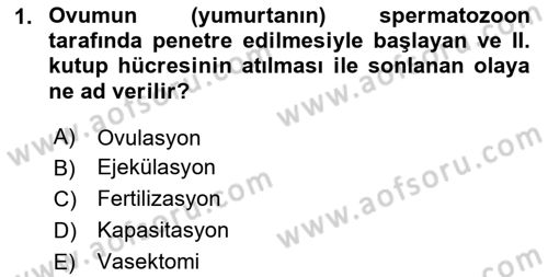 Doğum Bilgisi ve Suni Tohumlama Dersi 2023 - 2024 Yılı (Vize) Ara Sınav Soruları 1. Soru