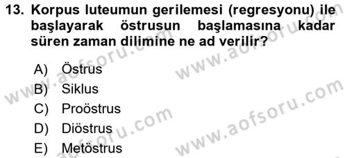 Doğum Bilgisi ve Suni Tohumlama Dersi 2023 - 2024 Yılı (Vize) Ara Sınav Soruları 13. Soru