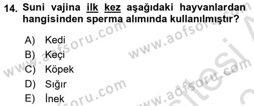 Doğum Bilgisi ve Suni Tohumlama Dersi 2023 - 2024 Yılı (Vize) Ara Sınav Soruları 14. Soru