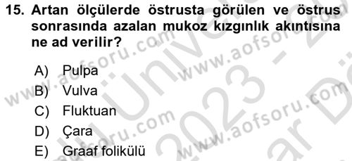 Doğum Bilgisi ve Suni Tohumlama Dersi 2023 - 2024 Yılı (Vize) Ara Sınav Soruları 15. Soru