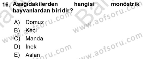 Doğum Bilgisi ve Suni Tohumlama Dersi 2023 - 2024 Yılı (Vize) Ara Sınav Soruları 16. Soru