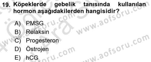 Doğum Bilgisi ve Suni Tohumlama Dersi 2023 - 2024 Yılı (Vize) Ara Sınav Soruları 19. Soru