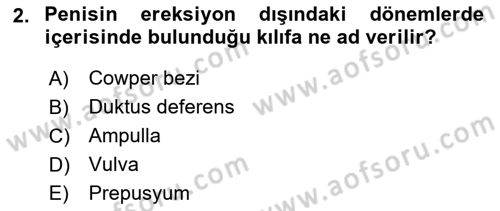Doğum Bilgisi ve Suni Tohumlama Dersi 2023 - 2024 Yılı (Vize) Ara Sınav Soruları 2. Soru