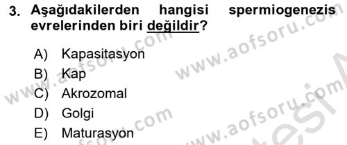 Doğum Bilgisi ve Suni Tohumlama Dersi 2023 - 2024 Yılı (Vize) Ara Sınav Soruları 3. Soru