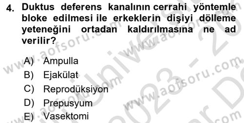 Doğum Bilgisi ve Suni Tohumlama Dersi 2023 - 2024 Yılı (Vize) Ara Sınav Soruları 4. Soru