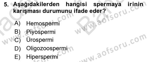 Doğum Bilgisi ve Suni Tohumlama Dersi 2023 - 2024 Yılı (Vize) Ara Sınav Soruları 5. Soru