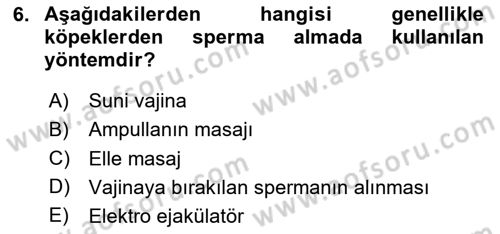 Doğum Bilgisi ve Suni Tohumlama Dersi 2023 - 2024 Yılı (Vize) Ara Sınav Soruları 6. Soru