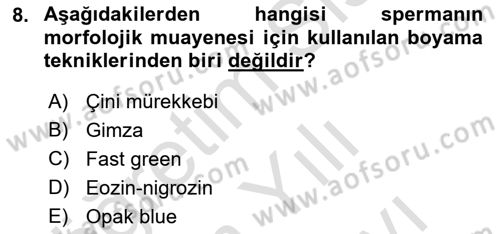 Doğum Bilgisi ve Suni Tohumlama Dersi 2023 - 2024 Yılı (Vize) Ara Sınav Soruları 8. Soru