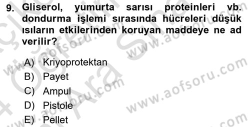 Doğum Bilgisi ve Suni Tohumlama Dersi 2023 - 2024 Yılı (Vize) Ara Sınav Soruları 9. Soru