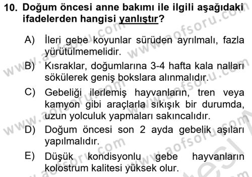 Doğum Bilgisi ve Suni Tohumlama Dersi 2023 - 2024 Yılı (Final) Dönem Sonu Sınav Soruları 10. Soru