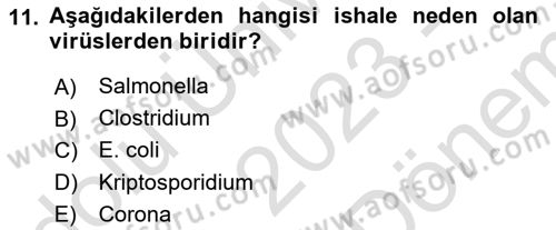 Doğum Bilgisi ve Suni Tohumlama Dersi 2023 - 2024 Yılı (Final) Dönem Sonu Sınav Soruları 11. Soru
