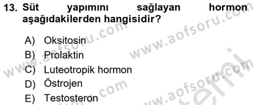 Doğum Bilgisi ve Suni Tohumlama Dersi 2023 - 2024 Yılı (Final) Dönem Sonu Sınav Soruları 13. Soru