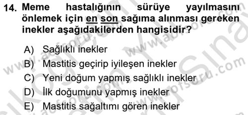 Doğum Bilgisi ve Suni Tohumlama Dersi 2023 - 2024 Yılı (Final) Dönem Sonu Sınav Soruları 14. Soru