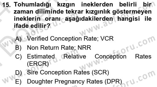 Doğum Bilgisi ve Suni Tohumlama Dersi 2023 - 2024 Yılı (Final) Dönem Sonu Sınav Soruları 15. Soru
