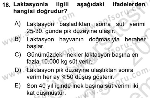 Doğum Bilgisi ve Suni Tohumlama Dersi 2023 - 2024 Yılı (Final) Dönem Sonu Sınav Soruları 18. Soru