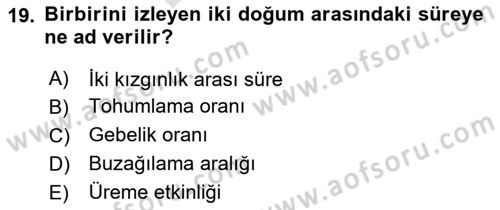 Doğum Bilgisi ve Suni Tohumlama Dersi 2023 - 2024 Yılı (Final) Dönem Sonu Sınav Soruları 19. Soru