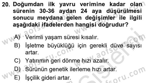 Doğum Bilgisi ve Suni Tohumlama Dersi 2023 - 2024 Yılı (Final) Dönem Sonu Sınav Soruları 20. Soru