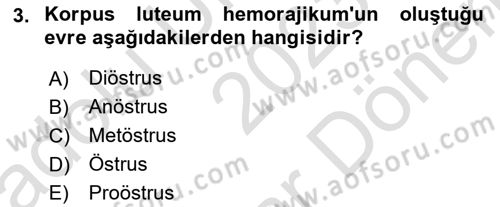 Doğum Bilgisi ve Suni Tohumlama Dersi 2023 - 2024 Yılı (Final) Dönem Sonu Sınav Soruları 3. Soru